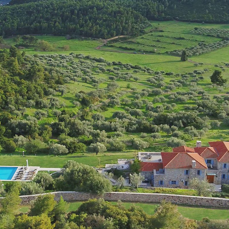 7f6436_c2261fb634904153bd1e1b29ab499331~mv2